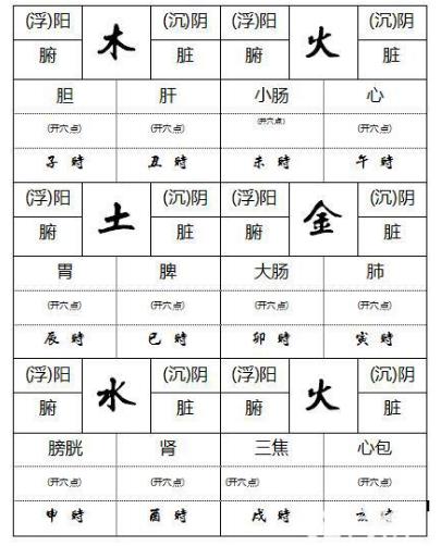 脉诊知识-脉诊自学门28种脉象