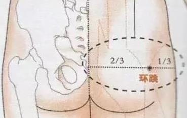 臀部环跳穴位置图