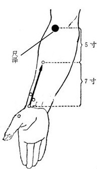 散热去痛的尺泽穴