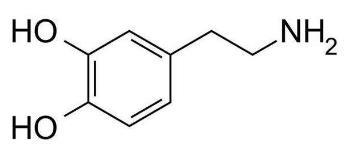 多巴胺和内啡肽是什么 多巴胺和内啡肽二者的区别在哪 多巴胺分子式