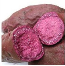 紫薯的食疗功效.4 紫薯防癌抗癌 吃紫薯的4个禁忌