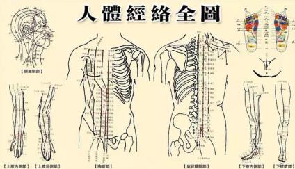 人体经络全图