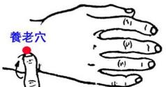 养老穴位的准确位置图 养老穴位的准确位置图