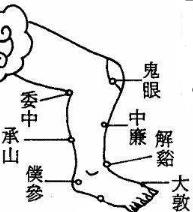 承山穴d的准确位置图 踢承山穴3分钟防血栓护心脏