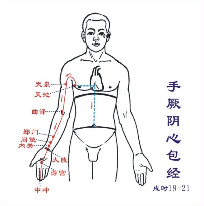 心包经络图走向 心包经穴位图 心包经的准确位置图