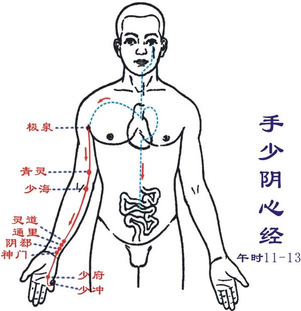 心经经络图及心经穴位图  心经的准确位置图