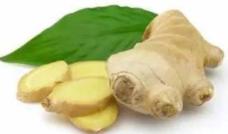 姜的种类 姜可治百病 姜的妙用大全 附:姜的二十种食疗方