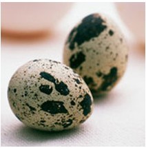 鹌鹑蛋的功效.4 鹌鹑蛋治疗疾病 鹌鹑蛋的食用禁忌