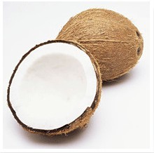 椰子的功效 椰子的营养价值 吃椰子是的3个禁忌