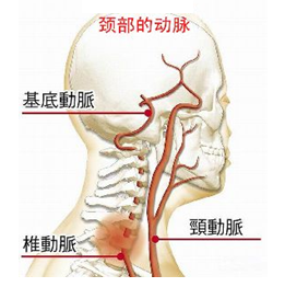 颈椎病的原因分四大类 颈椎病的原因分四大类