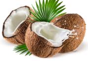 椰子的功效：椰子生津止渴、椰子利尿 美容、椰子滋润皮肤