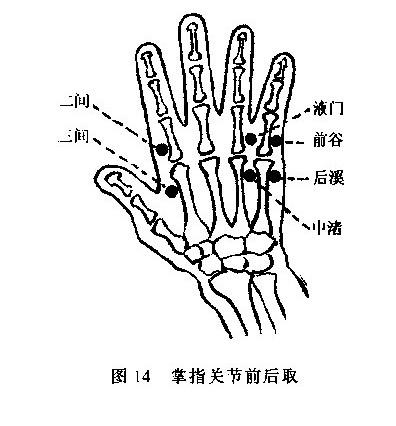 中渚穴位置图？中渚穴可以治疗小腿抽筋