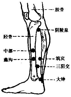 中都穴准确置图 肝脏有炎症：中都穴痛