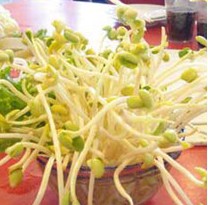豆芽的功效.5 绿豆芽的营养价值 豆芽的功效.5 绿豆芽的营养价值