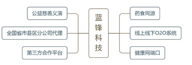 蓝锋科技战略规划图