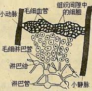 最新慢性病解决方案