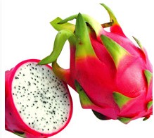 火龙果的功效7 火龙果营养素含量表 火龙果的选购方法