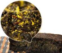 金花茯茶是一种发酵黑茶 金花茯茶与普洱茶的5大区别 金花茯茶的功效15