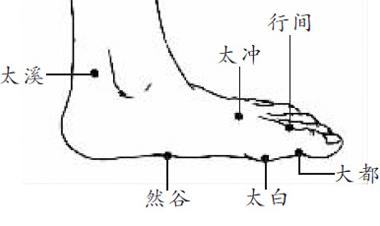 穴位养生歌：降压歌 感冒歌 耳鸣歌 减肥歌 颈椎歌 补肾歌 祛痘歌