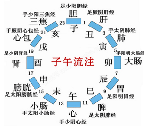 人体12条经络最佳运行时间图：三焦经在亥时（21点至23点）最旺 在此按揉三焦经效果最佳