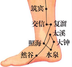 水泉穴位置图 肾脏有炎症：水泉穴痛